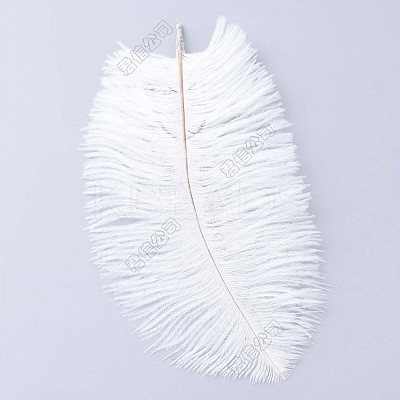 Ostrich Feather Costume Accessories FIND-ZX005-11C-1