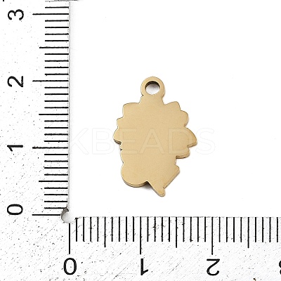 304 Stainless Steel Enamel Pendants LS-STAS-I338-03G-1
