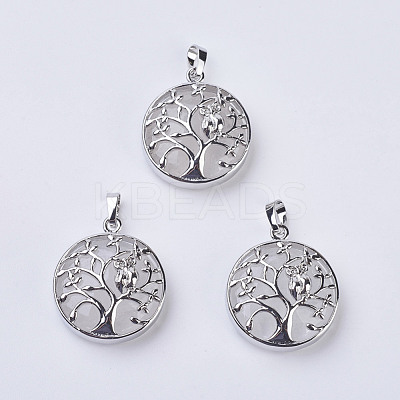 Natural Quartz Crystal Pendants G-K234-E13-1
