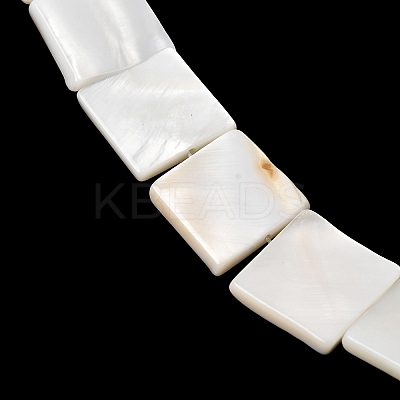 Natural Freshwater Shell Beads Strands SHEL-A006-10A-1