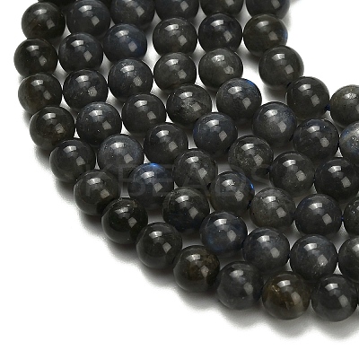 Natural Black Labradorite Beads Strands G-L642-B15-6mm-1