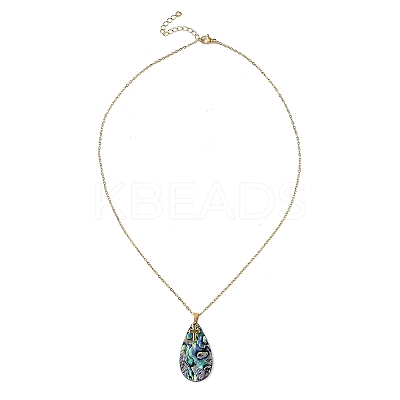Natural Paua Shell Teardrop Pendant 304 Stainless Steel Cable Chain Necklaces NJEW-JN06362-1