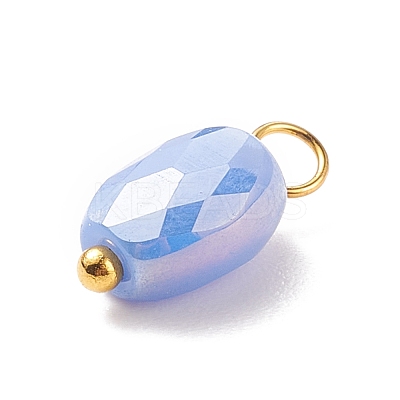 Electroplate Glass Pendants PALLOY-JF01541-04-1