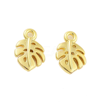 Rack Plating Alloy Charms FIND-Q108-16G-1