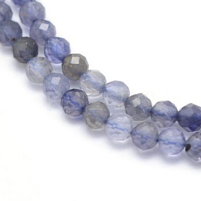 Natural Cordierite/Iolite/Dichroite Beads Strands G-E411-39-2mm-1