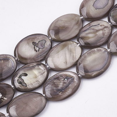 Freshwater Shell Beads Strands SHEL-S274-37A-1