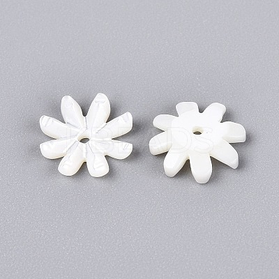 Natural Trochus Shell Beads SHEL-Q028-05-1