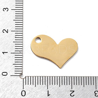 304 Stainless Steel Pendants STAS-R155-008G-1
