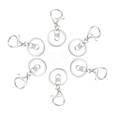 Iron Alloy Lobster Claw Clasp Keychain LS-KEYC-D016-S-1