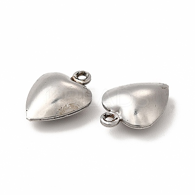 Non-Tarnish 304 Stainless Steel Charms STAS-F289-01P-1