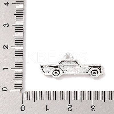 Tibetan Style Zinc Alloy Car Charms TIBEP-R334-295AS-RS-1