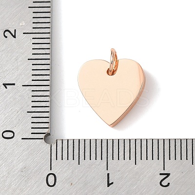 316 Surgical Stainless Steel Pendants STAS-K178-05RG-1