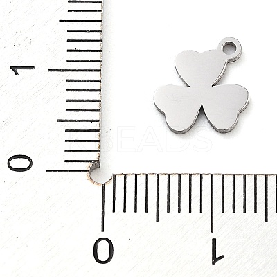 Anti-Tarnish 304 Stainless Steel Charms STAS-M076-10P-1