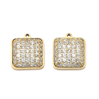 304 Stainless Steel Micro Pave Cubic Zirconia Charms LS-STAS-I356-04G-04-1