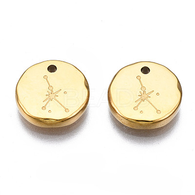 316 Surgical Stainless Steel Charms STAS-S116-418I-G-1