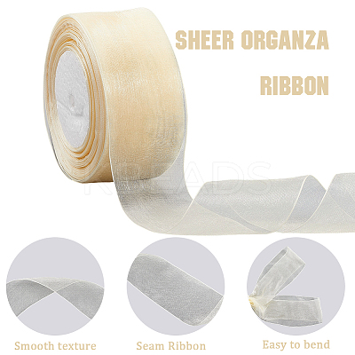 1 Rolls Sheer Organza Ribbon SRIB-CY0001-22C-11-1