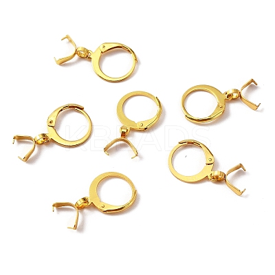 304 Stainless Steel Leverback Earring Finding STAS-WH0022-87G-1