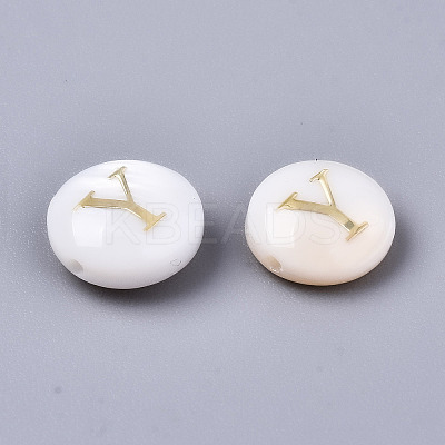 Natural Freshwater Shell Beads SHEL-S266-12Y-1