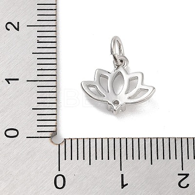 Rack Plating Brass Clear Cubic Zirconia Pendants KK-M293-11P-1