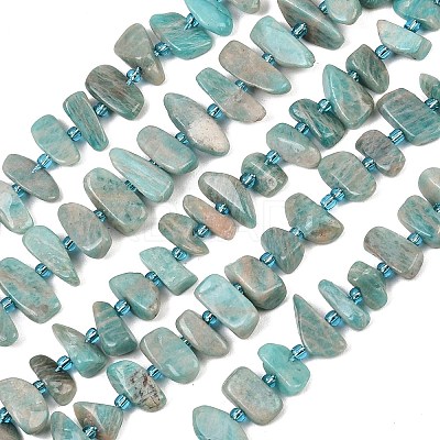 Natural Amazonite Beads Strands X-G-P619-A04-01-1