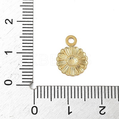 304 Stainless Steel Charms STAS-S177-02G-1