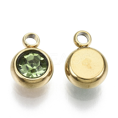 PVD Vacuum Plating 201 Stainless Steel Rhinestone Charms LS-X-STAS-S068-08G-1