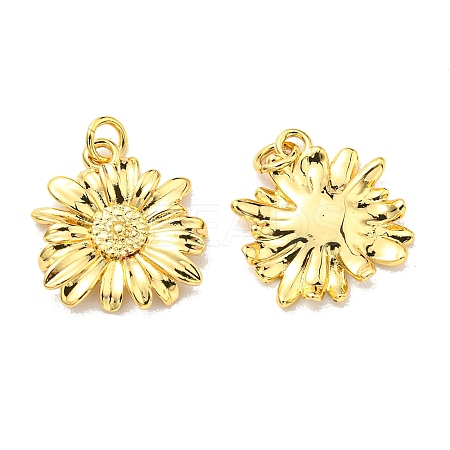 Rack Plating Brass Pendants KK-D026-11G-1