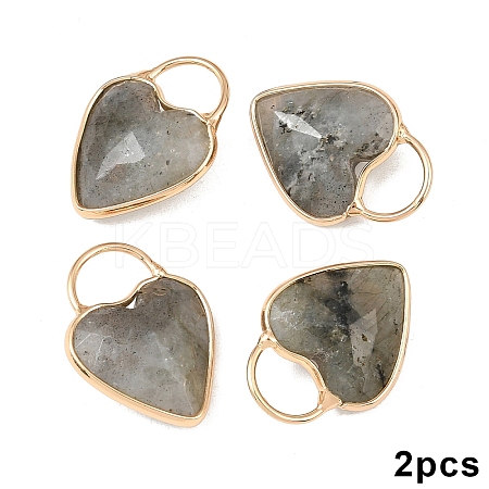 2Pcs Natural Labradorite Faceted Pendans KK-YW0003-63C-1