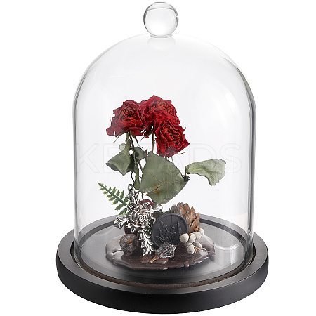 1Pc Glass Dome Cover AJEW-SC0002-60B-03-1