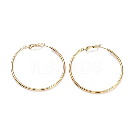 Ring 304 Stainless Steel Hoop Earrings for Women Men EJEW-B049-02E-G-1