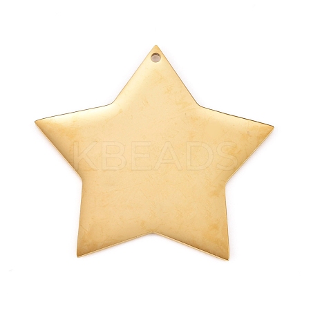 304 Stainless Steel Pendants STAS-L238-108B-G-1
