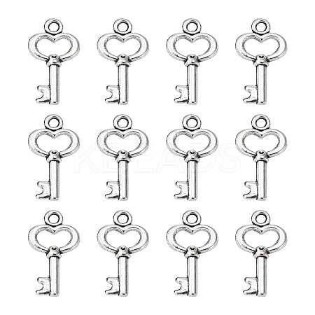 Gifts Ideas for Her Tibetan Style Alloy Charms LS-LF11975Y-NF-1