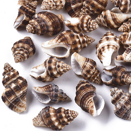 Natural Spiral Shell Beads SSHEL-S258-87-1
