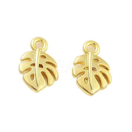 Rack Plating Alloy Charms FIND-Q108-16G-1