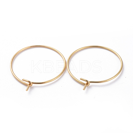 316 Surgical Stainless Steel Hoop Earring Findings LS-X-STAS-J025-01B-G-1