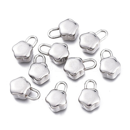 Tarnish Resistant 304 Stainless Steel Charms LS-STAS-K207-54P-1