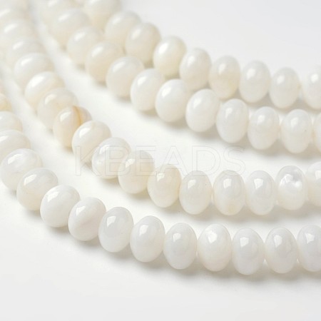 Dyed Natural Freshwater Shell Rondelle Bead Strands X-BSHE-O016-19D-1