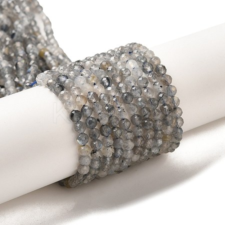 Natural Rainbow Moonstone Beads Strands LS-G-R475-025D-1