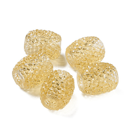 Transparent Resin European Jelly Colored Beads RESI-B025-01A-02-1