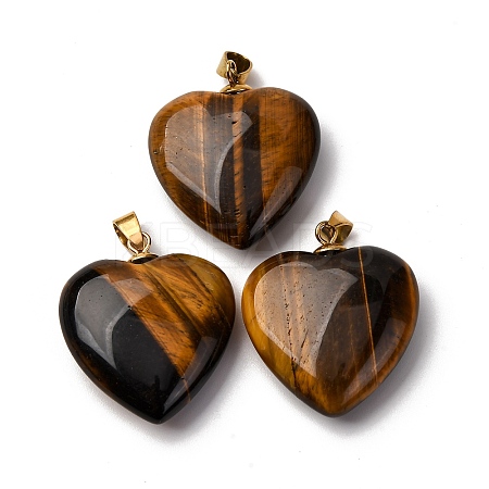 Natural Tiger Eye Pendants G-G287-01G-06-1