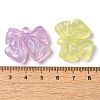 Transparent Resin Pendants RESI-M041-14-3