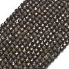 Natural Red Snowflake Obsidian Beads Strands G-A260-A14-01-2