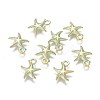 Alloy Charms PALLOY-L222-038GGP-1