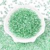 Baking Paint Electroplate Transparent Glass Seed Beads SEED-N006-07D-2