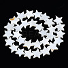 Natural Freshwater Shell Beads Strands SHEL-S278-01D-01-2