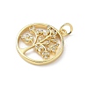 Brass Micro Pave Cubic Zirconia Pendants KK-S337-07G-E-2