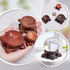 8Pcs 6 Styles Flat Round Wood Display Base Stand Holder for Crystal Ball DJEW-WR0001-04-5