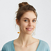 2 Pairs 2 Colors Resin Fish & Glass Ball Asymmetrical Earrings EJEW-AN0002-32-6