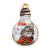 Alloy Pendant ENAM-M061-04G-01-1