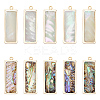 10Pcs 2 Styles Natural Paua Shell Pendants KK-WR0001-71-1